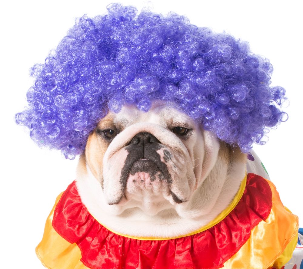 All the World Loves a Clown